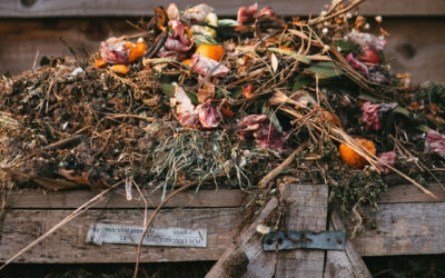 Why Compost Is Amazing For Garden Pest Control