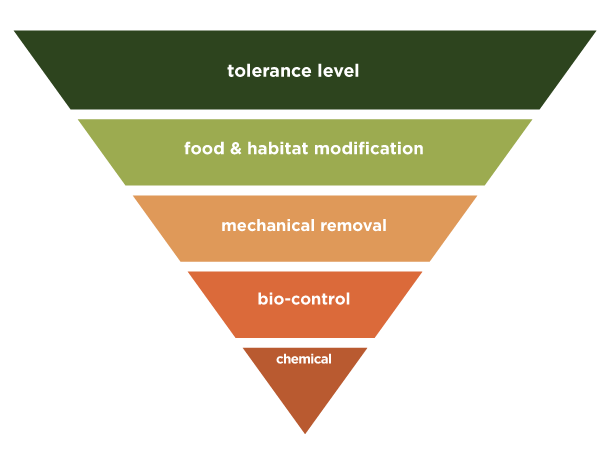IPM, Integrated Pest Management diagram, inverted. At the top is tolerance level, descending to food & habitat modification, mechanical removal, bio control & lastly chemical. Integrated Pest Management is how farmers, gardeners, homeowners, food handlers and many others get the best pest control naturally.