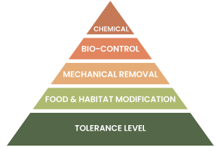 Integrated Pest Management pyramid with 5 sections, lowest is tolerance level, then food & habitat modification, mechanical removal, bio-control and lastly chemical pest control. IPM
