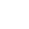 Black and white graphic raccoon icon