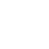 Simple white house spider icon