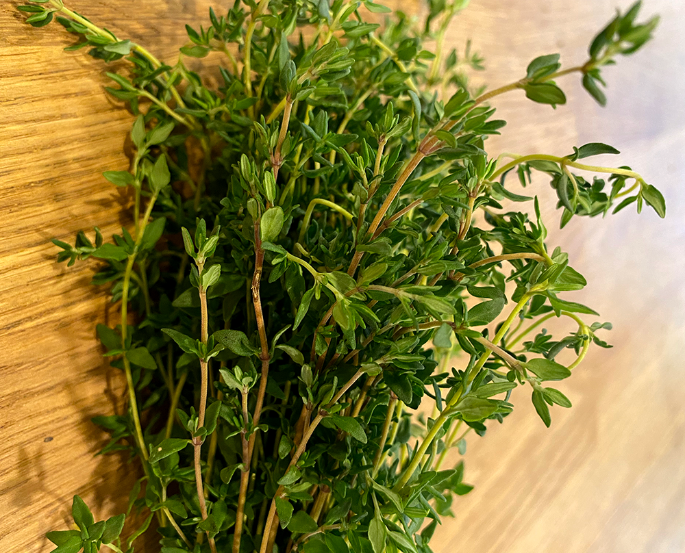 Bundle of thyme sprigs