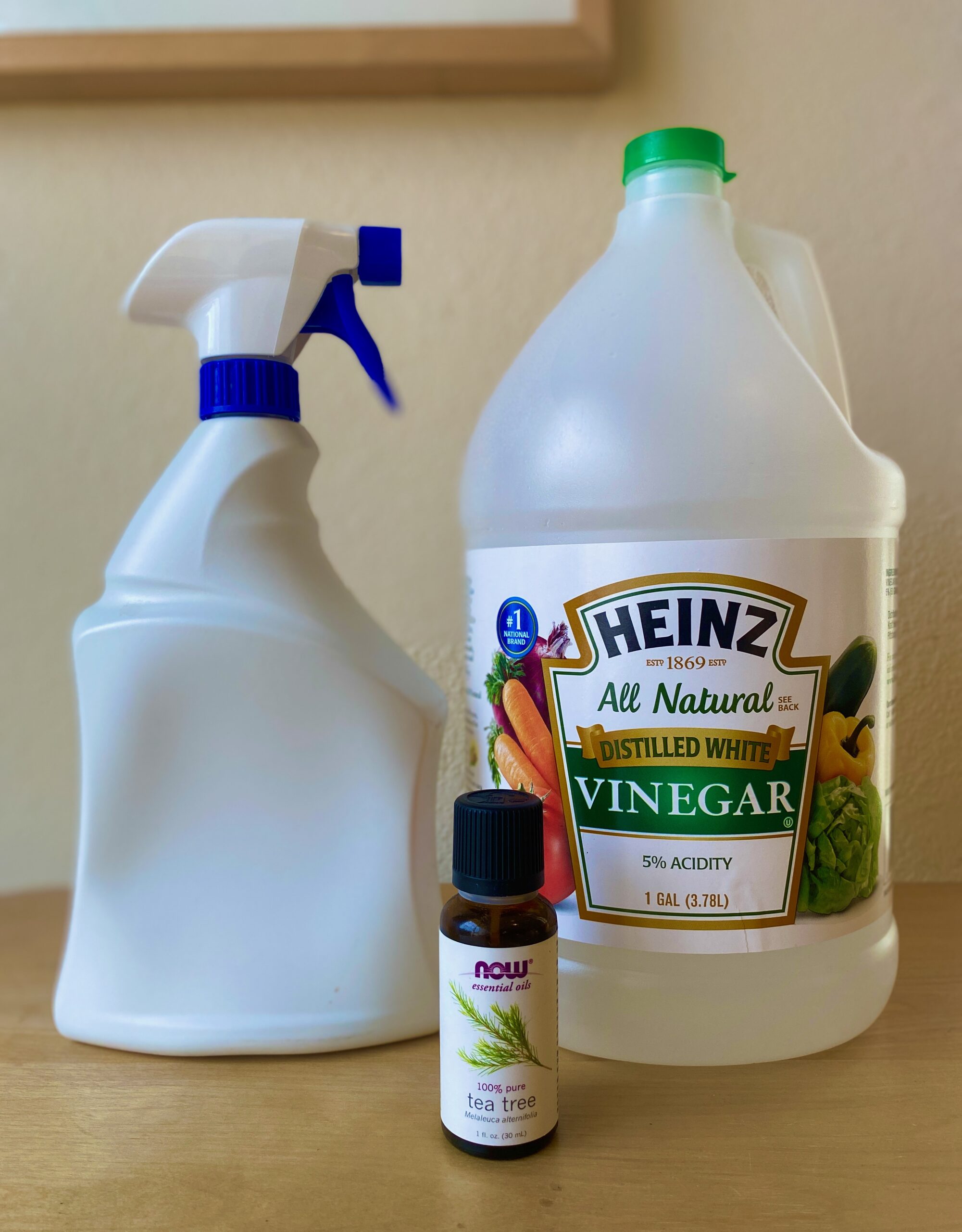 diy homemade ant repellent spray ingredients with vinegar, tea tree oil and spray bottle